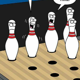 Team Page: Ship'n Spliz